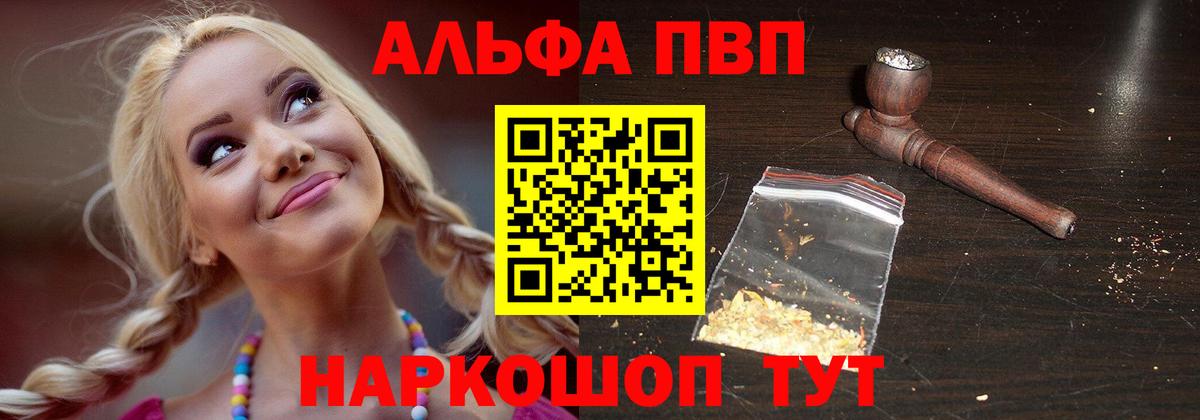 Альфа ПВП СК Новокузнецк