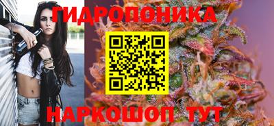 шишки Белорецк