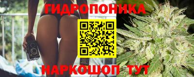 шишки Белорецк