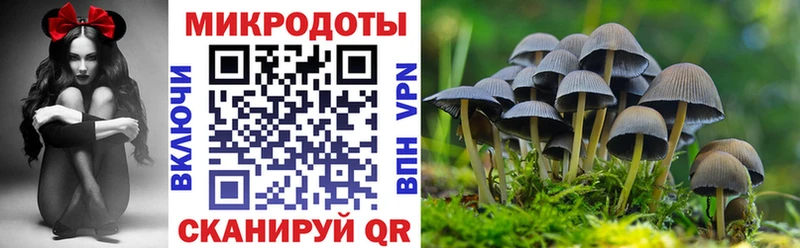 гидра   Новокузнецк  Псилоцибиновые грибы ЛСД 