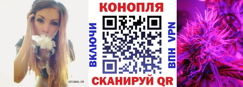 Марихуана семена  Новокузнецк 